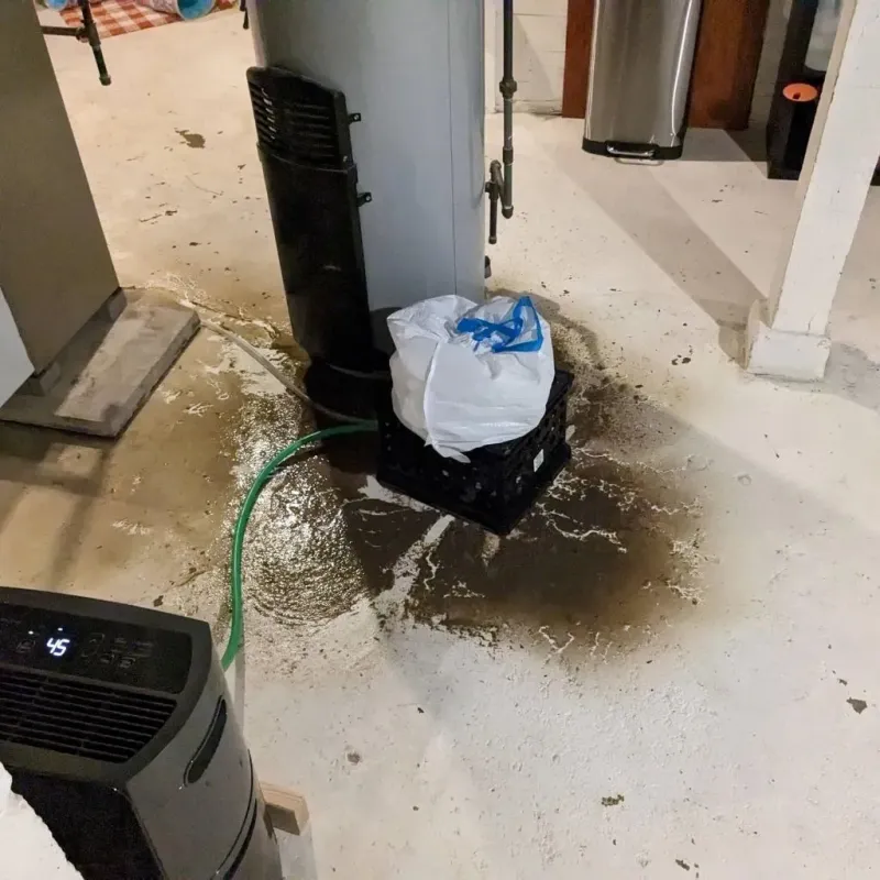 Sewage Backup Cleanup Service in Decaturville, TN